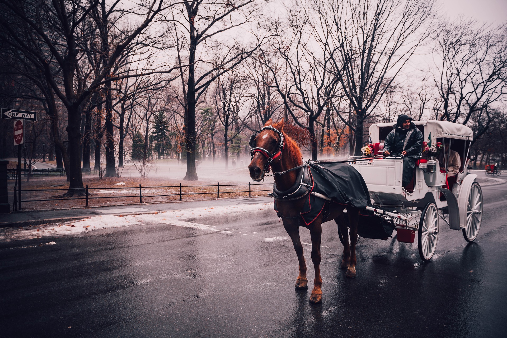 Horse-drawn carriage rides in Central Park? Yes please!